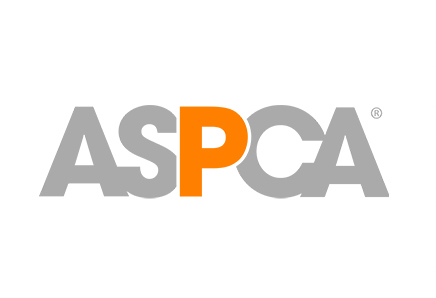ASPCA relies on Springboard digital fundraising solutions