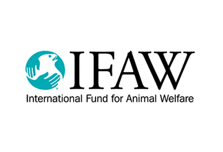 IFAW relies on Springboard digital fundraising solutions